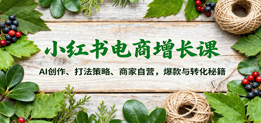 小红书电商增长课：AI创作、打法策略、商家自营，爆款与转化秘籍-洛柒笔记