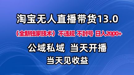 淘宝无人直播13.0，公域私域技术，不封号，不违规布局下半年旺季赛道，日入1K+（独家技术）-洛柒笔记