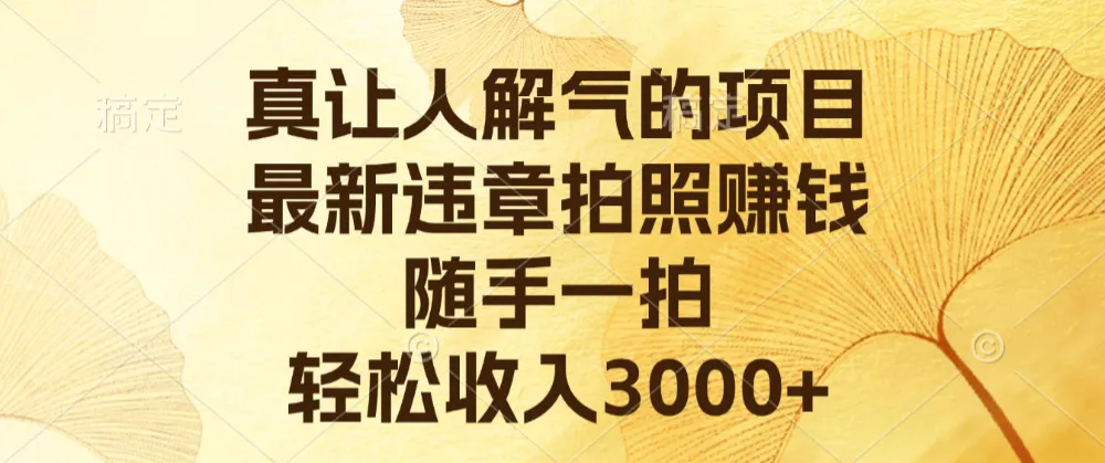 真让人解气的项目，最新违章拍照赚钱，随手一拍，轻松收入3000+-洛柒笔记
