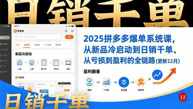 （16894期）2025拼多多爆单系统课，从新品冷启动到日销千单、从亏损到盈利的全链路（更新12月）-洛柒笔记