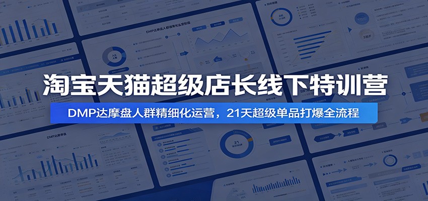 淘宝天猫超级店长线下特训营：DMP达摩盘人群精细化运营，21天超级单品打爆全流程-洛柒笔记