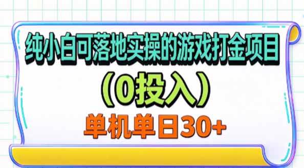 （20993期）纯小白可落地实操的游戏打金项目（0投入）单机单号30+-洛柒笔记