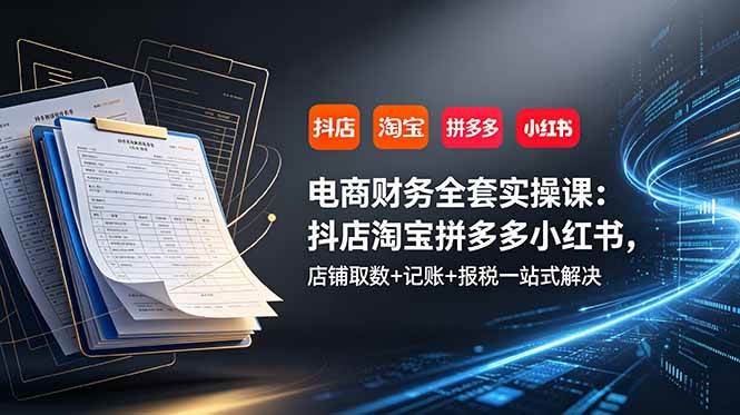（19001期）电商财务全套实操课：抖店淘宝拼多多小红书，店铺取数+记账+报税一站式解决-洛柒笔记