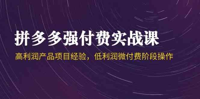 拼多多强付费实战课-44期，高利润产品项目经验，低利润微付费阶段操作-洛柒笔记