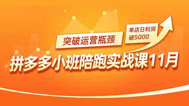 （16654期）拼多多小班陪跑实战课11月，强付费矩阵、原价活动、暗券引流，突破运营瓶颈，单店日利润破5000-洛柒笔记