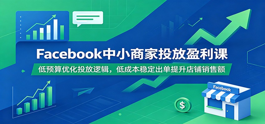 Facebook中小商家投放盈利课：低预算优化投放逻辑，低成本稳定出单提升店铺销售额-洛柒笔记
