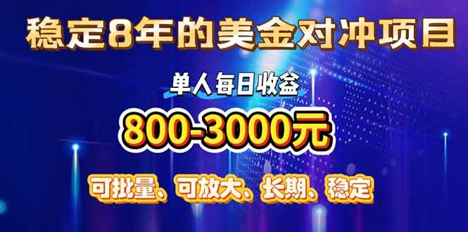 稳定8年的美金对冲创业项目，单人每日收益800-3000，小众暴力项目-洛柒笔记