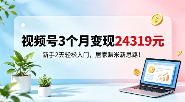视频号3个月变现24319，新手2天轻松入门，居家賺米新思路【揭秘】-洛柒笔记