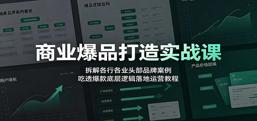 商业爆品打造实战课：拆解各行各业头部品牌案例，吃透爆款底层逻辑落地运营教程-洛柒笔记
