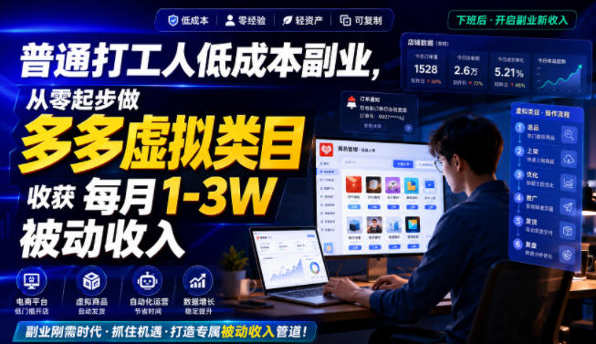 普通打工人低成本副业，从零起步做多多虚拟类目，收获每月1-3W被动收入【揭秘】-洛柒笔记