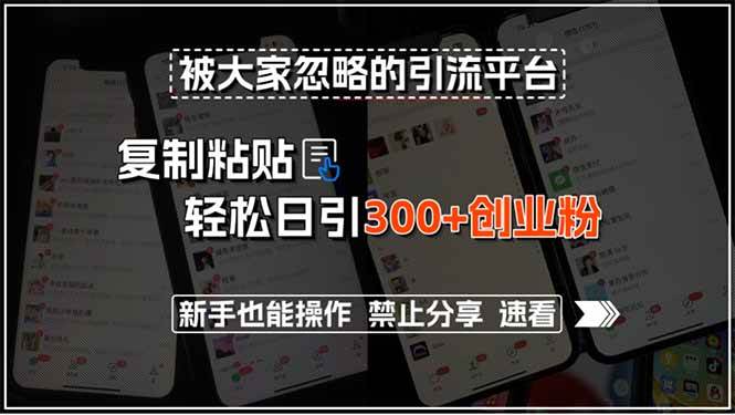被大家忽略的引流平台，复制粘贴轻松日引300+创业粉，新手也能操作，禁…-洛柒笔记