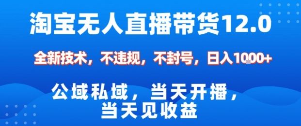 淘宝无人直播12.0，公域私域技术，不封号，不违规布局双十一流量风口，日入1k（独家技术）-洛柒笔记