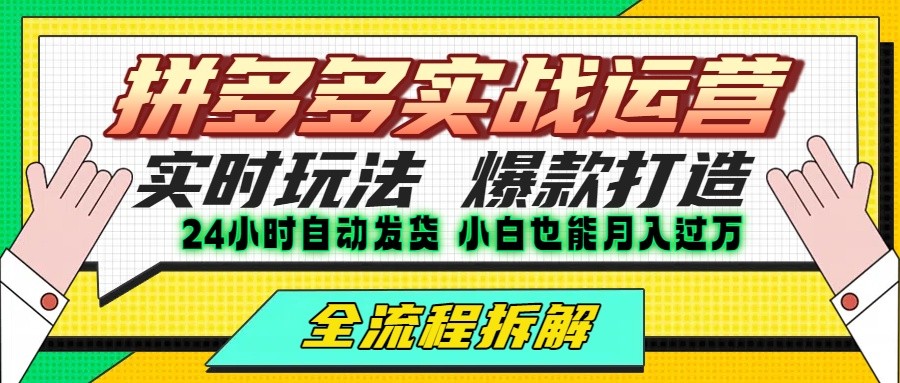 拼多多最新实战运营高投产：长久稳定项目，单店利润一天三位数-洛柒笔记