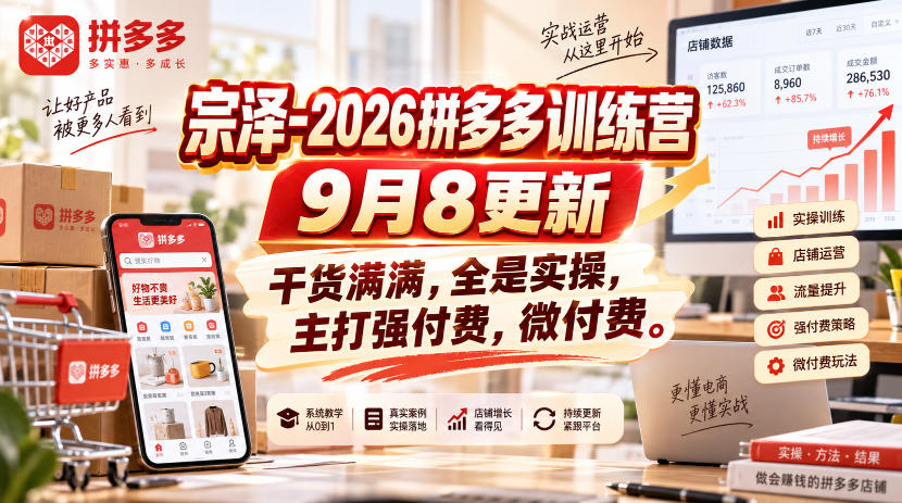 宗泽-2026拼多多训练营9月8更新，干货满满，全是实操，主打强付费，微付费-洛柒笔记