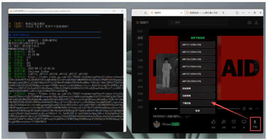 Github热门工具，视频号下载神器又来了！一键注入下载按钮，轻松下载，使用便捷wx_channel-洛柒笔记