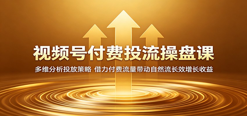 视频号付费投流操盘课：多维分析投放策略，借力付费流量带动自然流长效增长收益-洛柒笔记
