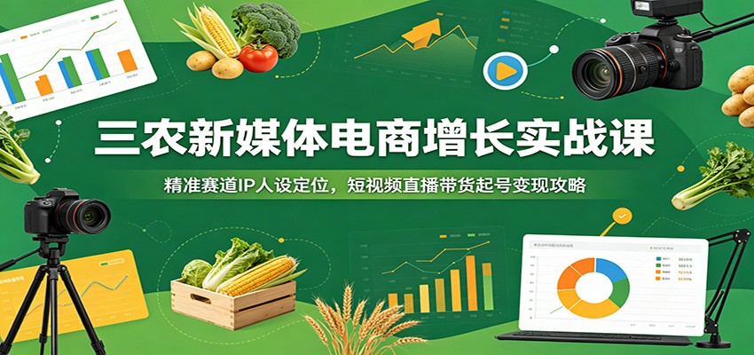 三农新媒体电商增长实战课：精准赛道IP人设定位，短视频直播带货起号变现攻略-洛柒笔记