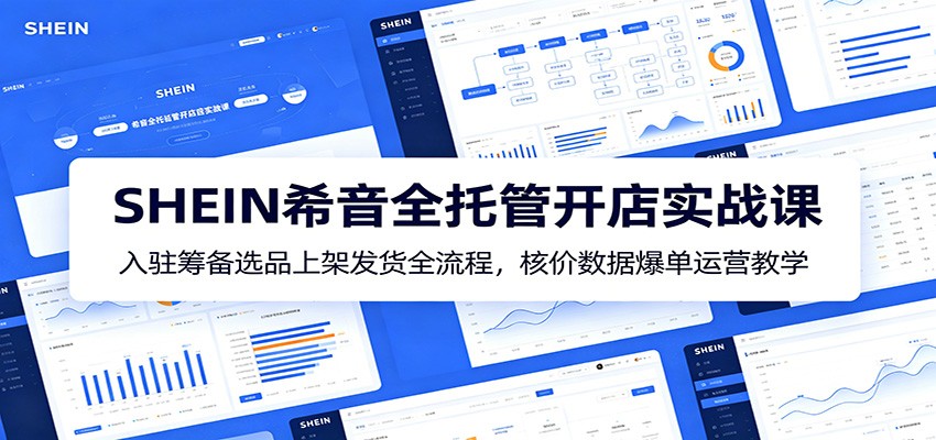 SHEIN希音全托管开店实战课：入驻筹备选品上架发货全流程，核价数据爆单运营教学-洛柒笔记