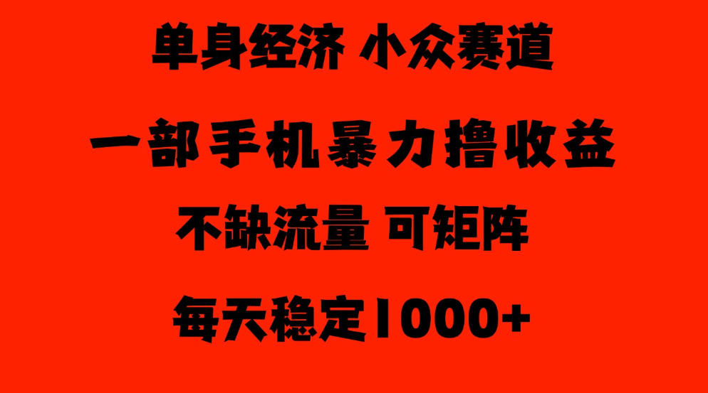 26年暴力单身经济，稳定日入500-1k，不缺流量，流量极大，冷门小众赛道，门槛低小白轻松上手【揭秘】-洛柒笔记