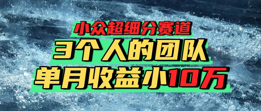 小众超细分赛道，一年百万利润的盘子！-洛柒笔记