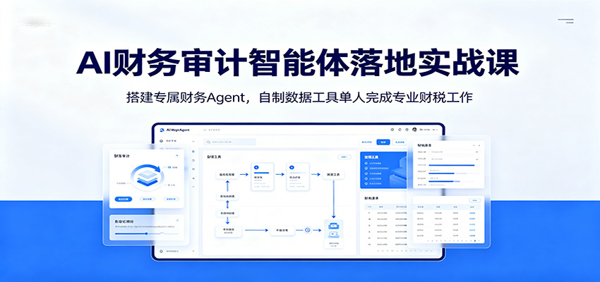 AI财务审计智能体落地实战课：搭建专属财务Agent，自制数据工具单人完成专业财税工作-洛柒笔记