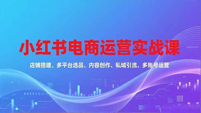 （16695期）小红书电商运营实战课，店铺搭建、多平台选品、内容创作、私域引流、多账号运营等玩法-洛柒笔记
