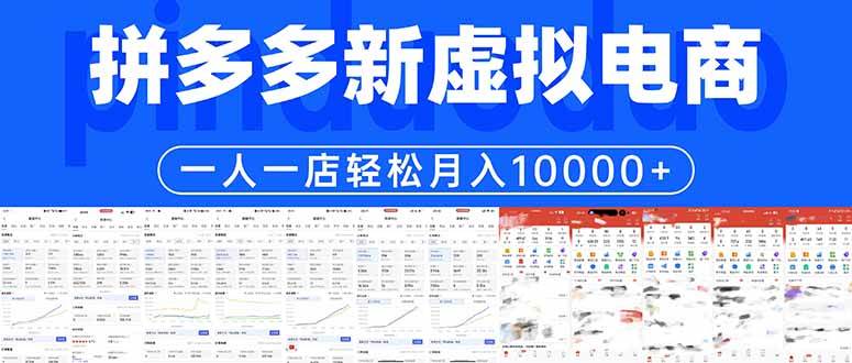 （17978期）拼多多虚拟电商一人一店轻松月入10000+-洛柒笔记