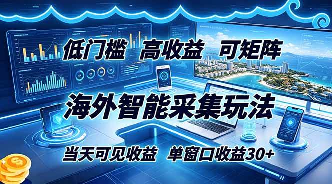 （18955期）海外智能采集玩法，低门槛高单价可矩阵，当天可见收益，单窗口30+-洛柒笔记