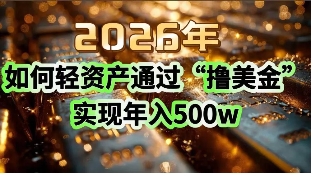 2026年如何轻资产通过“撸美金”实现年入500w-洛柒笔记