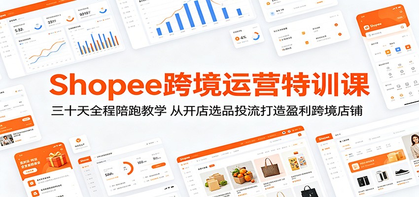 Shopee跨境运营特训课：三十天全程陪跑教学，从开店选品投流打造盈利跨境店铺-洛柒笔记