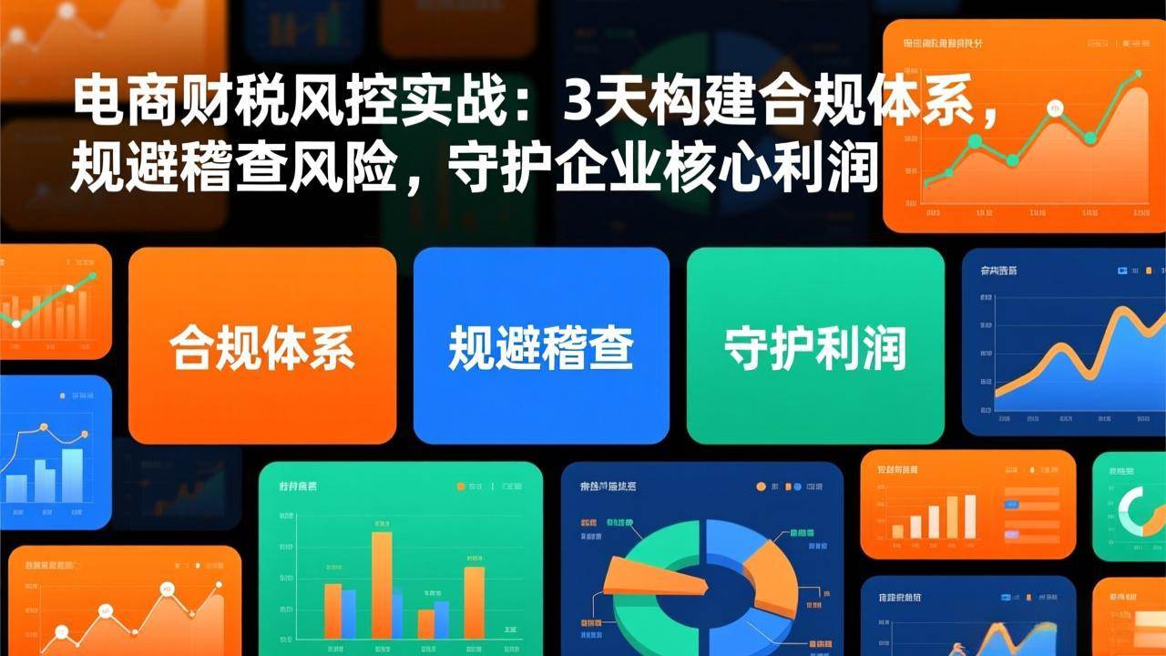 （17197期）电商财税风控实战：3天构建合规体系，规避稽查风险，守护企业核心利润-洛柒笔记