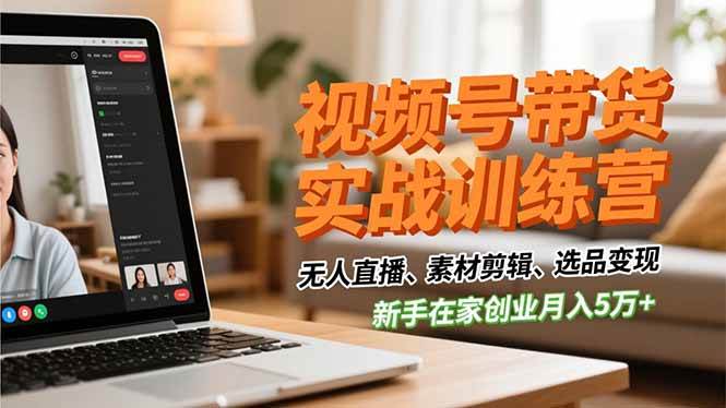 （16762期）视频号带货实战训练营，无人直播、素材剪辑、选品变现，新手在家创业月入5万+-洛柒笔记