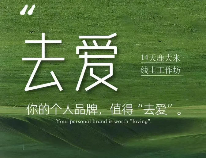 去爱14天鹿大米线上工作坊，你的个人品牌，值得“去爱”-洛柒笔记