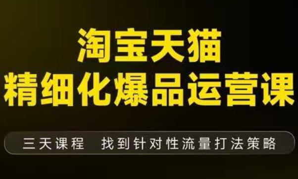 淘宝天猫精细化爆品运营（9月12-14杭州线下课），全方位拆解爆品打造逻辑【音频+字幕+文档】-洛柒笔记