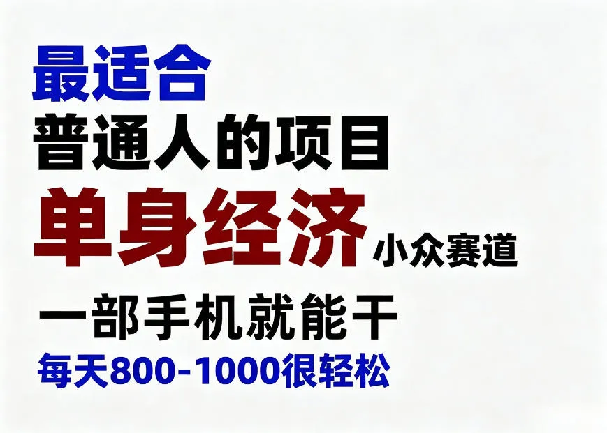 身经济小众赛道，一部手机就能干，每天搞个800-1000很轻松，最适合普通人的项目-洛柒笔记