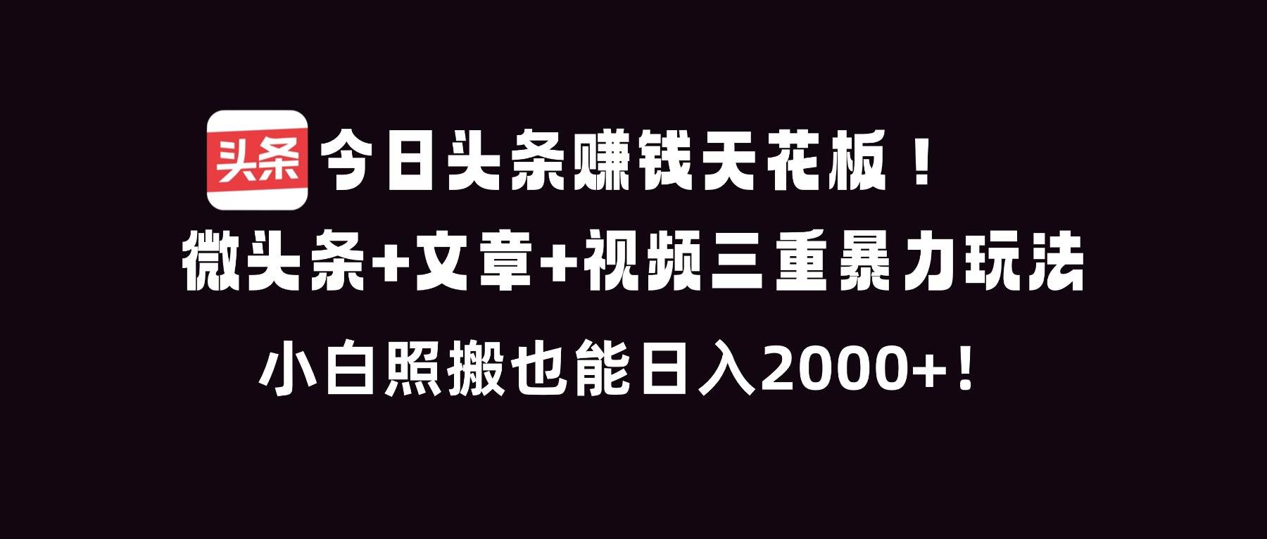 （16888期）今日头条赚钱天花板！微头条+文章+视频三重暴利玩法，小白照搬也能日人2000+-洛柒笔记