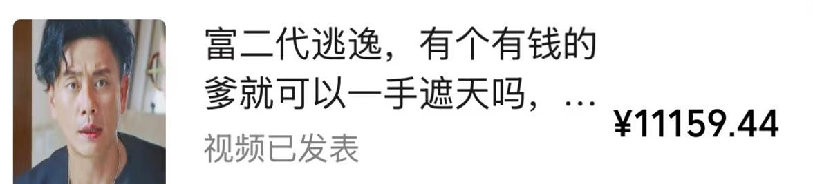 视频号某大佬的影视搬运教学，纯手法操作，可以多个平台可以发布，撸分成计划+伙伴计划+光合计划收益等-洛柒笔记