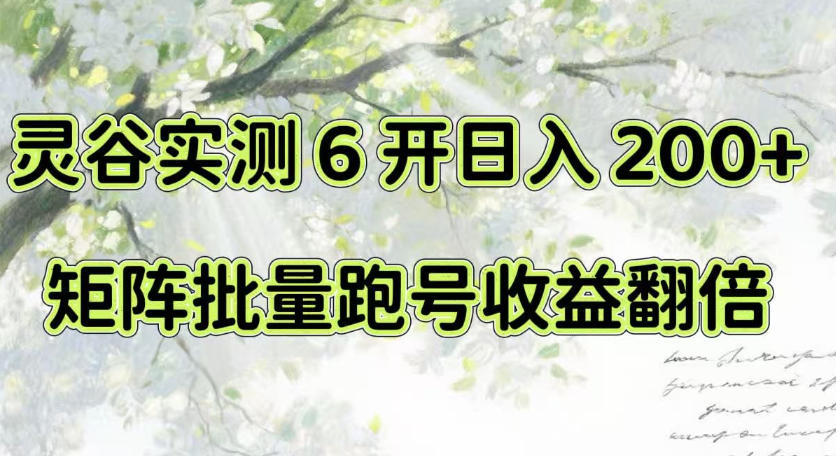 一台电脑就能做！灵谷实测6开日入200+，矩阵批量跑号收益翻倍【揭秘】-洛柒笔记