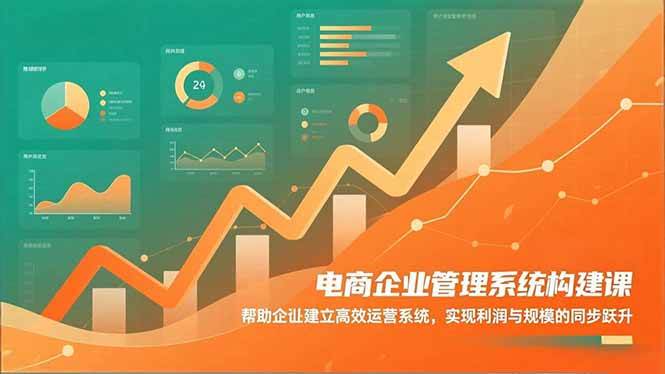 （16643期）电商企业管理系统构建课：帮助企业建立高效运营系统，实现利润与规模的同步跃升-洛柒笔记