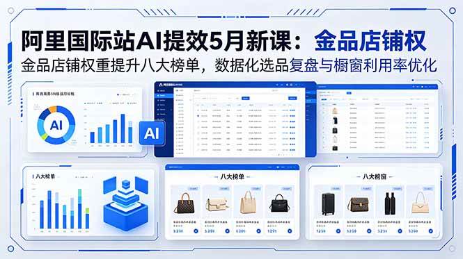 （18556期）阿里国际站AI提效5月新课：金品店铺权重提升八大榜单，数据化选品复盘与橱窗利用率优化-洛柒笔记