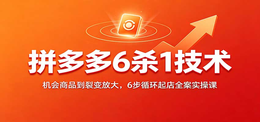 拼多多6杀1技术：机会商品到裂变放大，6步循环起店全案实操课-洛柒笔记