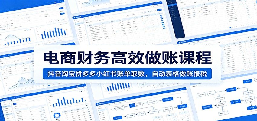 电商财务高效做账课程：抖音淘宝拼多多小红书账单取数，自动表格做账报税-洛柒笔记