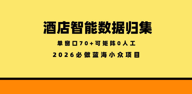 酒店智能数据归集，小众蓝海已经稳定半年之久，单窗口70+零成本矩阵开干【揭秘】-洛柒笔记